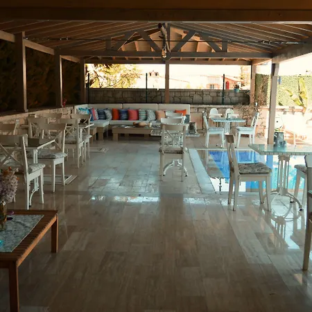 阿拉恰特酒店 酒店 阿拉恰特